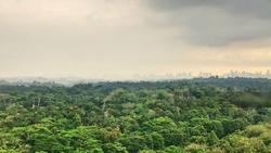 Eco Sanctuary (D23), Condominium #135482342